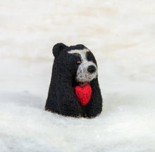 Load image into Gallery viewer, Spectacled Bear with Heart