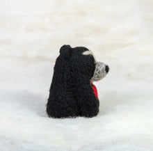 Load image into Gallery viewer, Spectacled Bear with Heart