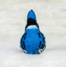 Load image into Gallery viewer, Blue Jay Felti