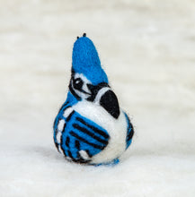 Load image into Gallery viewer, Blue Jay Felti