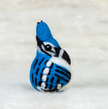 Load image into Gallery viewer, Blue Jay Felti
