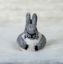 Load image into Gallery viewer, Grey Squirrel Felti