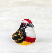 Load image into Gallery viewer, Red Barbed Bandit Bird Felti