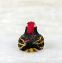 Load image into Gallery viewer, Red Barbed Bandit Bird Felti