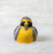 Load image into Gallery viewer, Tumbes Tyrant Bird Felti