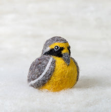 Load image into Gallery viewer, Tumbes Tyrant Bird Felti