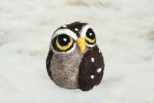 Load image into Gallery viewer, Curious Owl Felti
