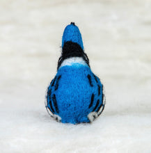 Load image into Gallery viewer, Blue Jay Felti
