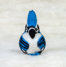 Load image into Gallery viewer, Blue Jay Felti
