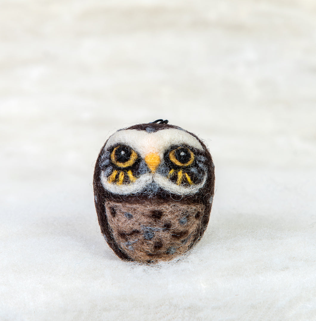 Burrowing Owl Felti