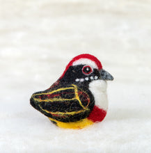 Load image into Gallery viewer, Red Barbed Bandit Bird Felti
