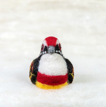 Load image into Gallery viewer, Red Barbed Bandit Bird Felti
