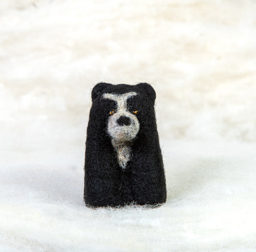 Spectacled bear felti