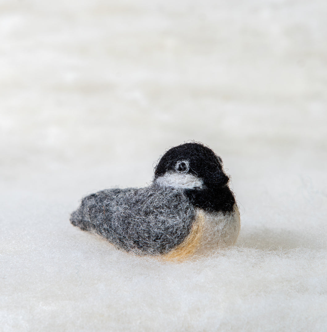 Chickadee Felti