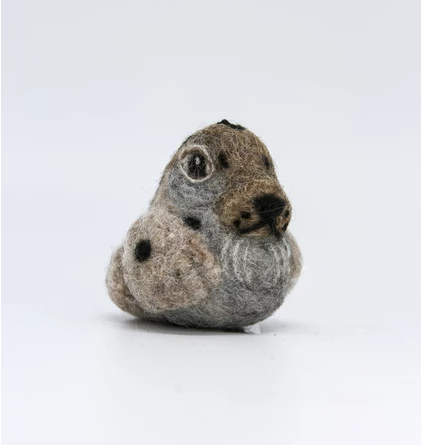 Seal Felti